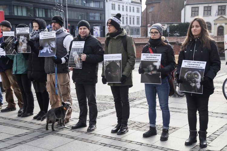 Wrocławscy obrońcy zwierząt popierają zmiany zaproponowane przez PiS. „Zakaz jest bliżej niż kiedykolwiek wcześniej” [ZDJĘCIA], Magda Pasiewicz